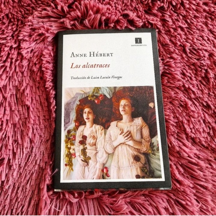carmenmug's tweet photo. "Un verdadero festival para los sentidos".
Con estas palabras de Stevens Brown, una de la voces y personaje de la novela, defino esta brutalidad de libro de Anne Hébert.
Y @EdImpedimenta siempre en mis favoritas
#LosAlcatraces
#AnneHebert
https://t.co/utlO8UA2AI https://t.co/islrO7sLhf