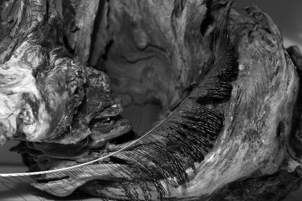 [5] 
25 o'clock dilemma