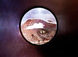 Same energy. #Euphoria <a href="/euphoriaHBO/">euphoria</a> #JurassicPark