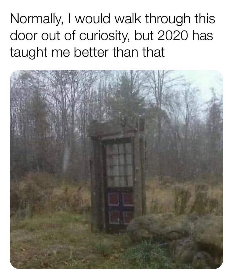 FMtdL3YXMAESA__?format=jpg&name=medium