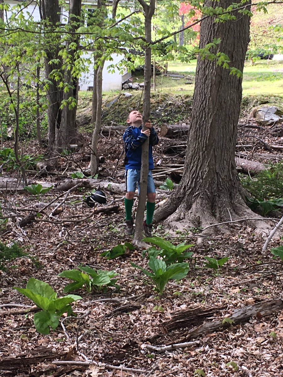 Learn and practice survival skills that can help you out on any hiking trip or even treasure hunt at our Adventure Trailblazers camp for K-2nd graders, August 1-5! Register today and check out our other camp offerings this summer at bit.ly/YoungNaturalis….