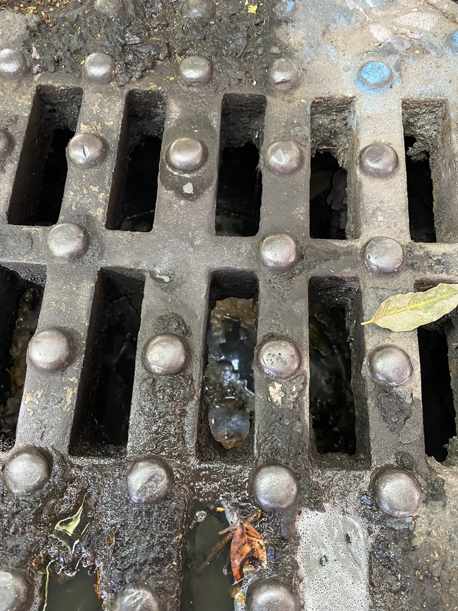 markjerus's tweet photo. Tubería tapada en Av Amsterdam 252, colonia Hipódromo. Urge desasolvar y detectar el problema de la tubería ya que el agua esta subiendo muy rápido! @SacmexCDMX @AlcCuauhtemocMx https://t.co/qYkcmu8GEy