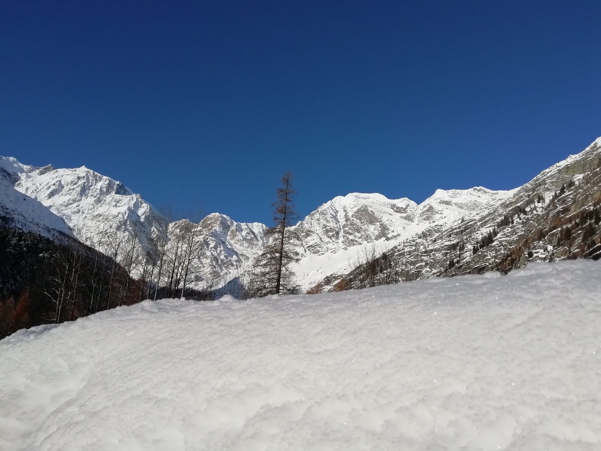 Monterosa Macugnaga qualche anno fa
#alps #mountains #ossola #Piemonte <a href="/anboemo/">Antonio Boemo</a> <a href="/volodelmattino/">Il Volo Del Mattino</a> <a href="/mariacr28250504/">maria cristina lazzi</a> <a href="/radiodeejay/">Radio Deejay</a>