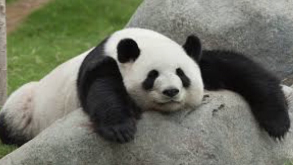 marion devers tweet media