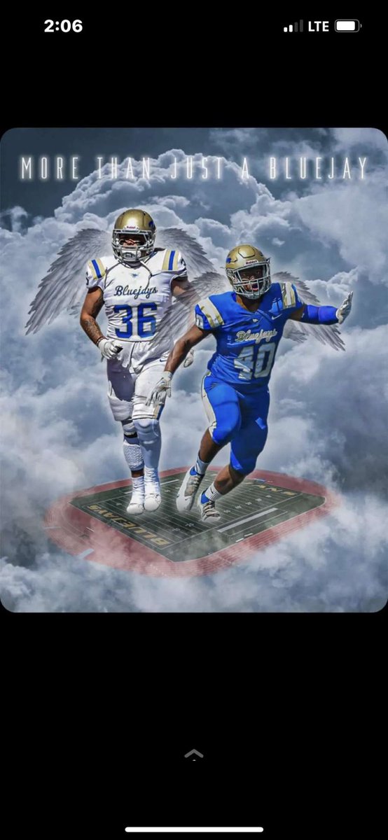 Rip boys I’m gonna miss you guys.. love you boys.❤️🕊