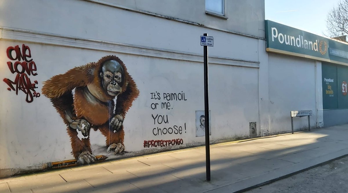 NancysInkSpots's tweet photo. Impressive #protectpongo mural art by Louis Masai spotted on my travels through Woodgreen, Whymark Avenue N22 @louismasai #mural #StreetArt #WorldWithoutNature @WWF
and in the corner you can see a little street rat by Banksy replacing his Poundland Machinist https://t.co/DbUQo9ICQn