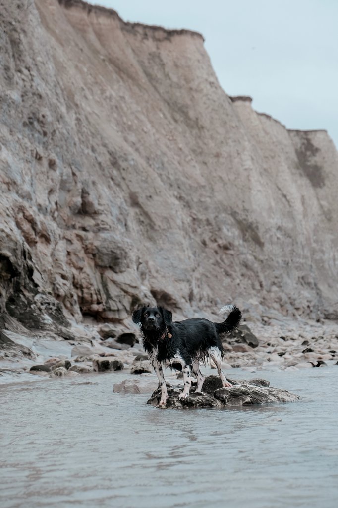 ๐
๐๐๐๐ ๐๐ฑ๐ฉ๐ฅ๐จ๐ซ๐๐ฌ tweet media