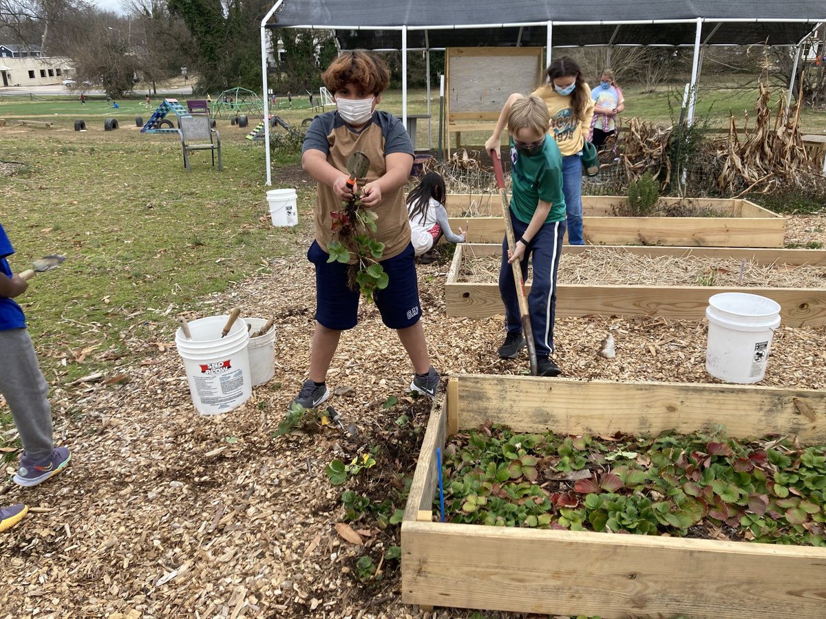 CWExploris's tweet image. Fifth grade has been taking ownership of the Exploris garden this year. They assessed our needs, and recommended 4 new beds. Thanks to @ExplorisPTO , we were funded with a grant to make it happen. They are finally in place and will be getting soil this week!