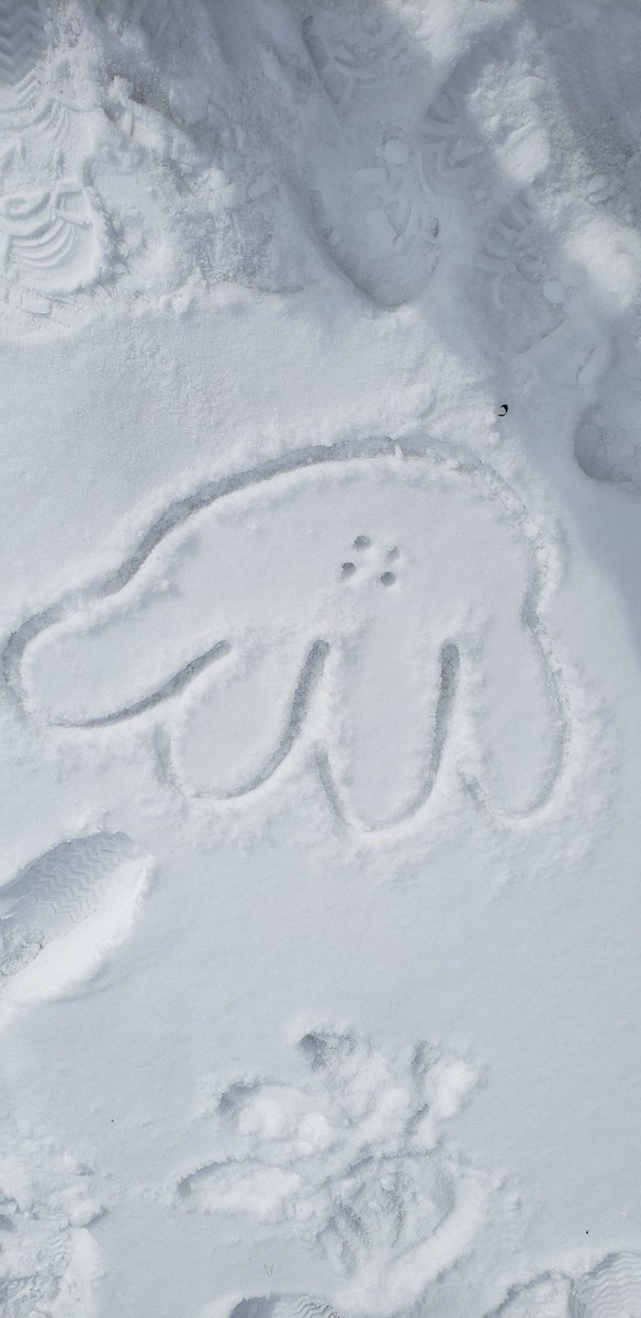 Winter Get Outside Challenge is on! Who would have made this print?