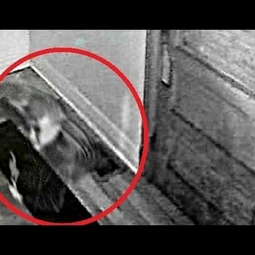 Very odd picture but good at same time