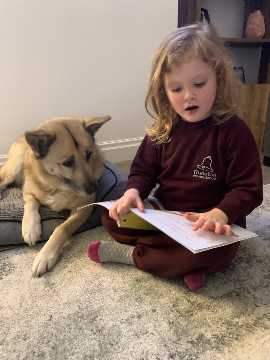 DawnMYell's tweet photo. Our little Lambanana reading to her dog, Tazzy, before bed.⁦@rudstonprimary⁩ ⁦⁦@rudstonrec⁩ https://t.co/7C8srA1eao