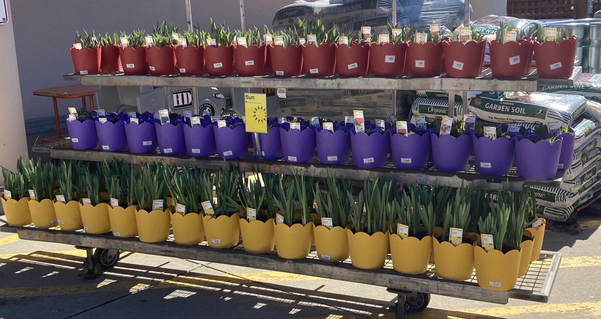 Linda Burkins tweet media