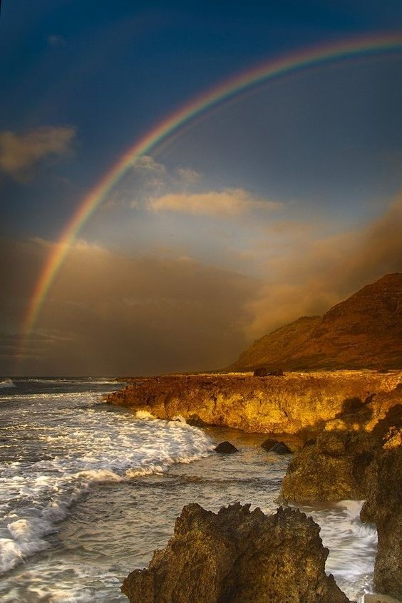 ✨❤️🎵🎮🕹️🅹🅾🅷🅽_🅰🆁🅽🅰🅻🅳_1979🕹️🎮🎵❤️⭐ tweet media