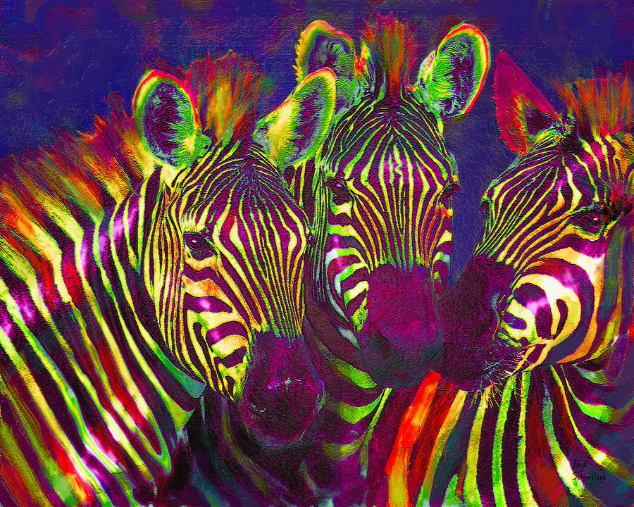 RareActionFL's tweet photo. Rare Family--> Today is our day to unite!! There are approx 2 million Floridians affected by a rare disorder -- together we are strong! Raise your voice and #ShowYourStripes https://t.co/lKprXTI6FA