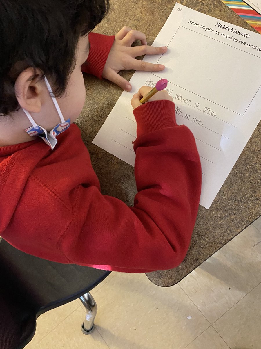 MsReyno68714725's tweet photo. Today we launched Module 9 in reading! My goal for Texas Reading Academies currently is incorporating writing into reading. My students did an awesome job with that today! Canβt wait to see what we learn about plants this module! #mckALLin #mesquiteisd #texasreadingacademies https://t.co/MvbEjqjCks