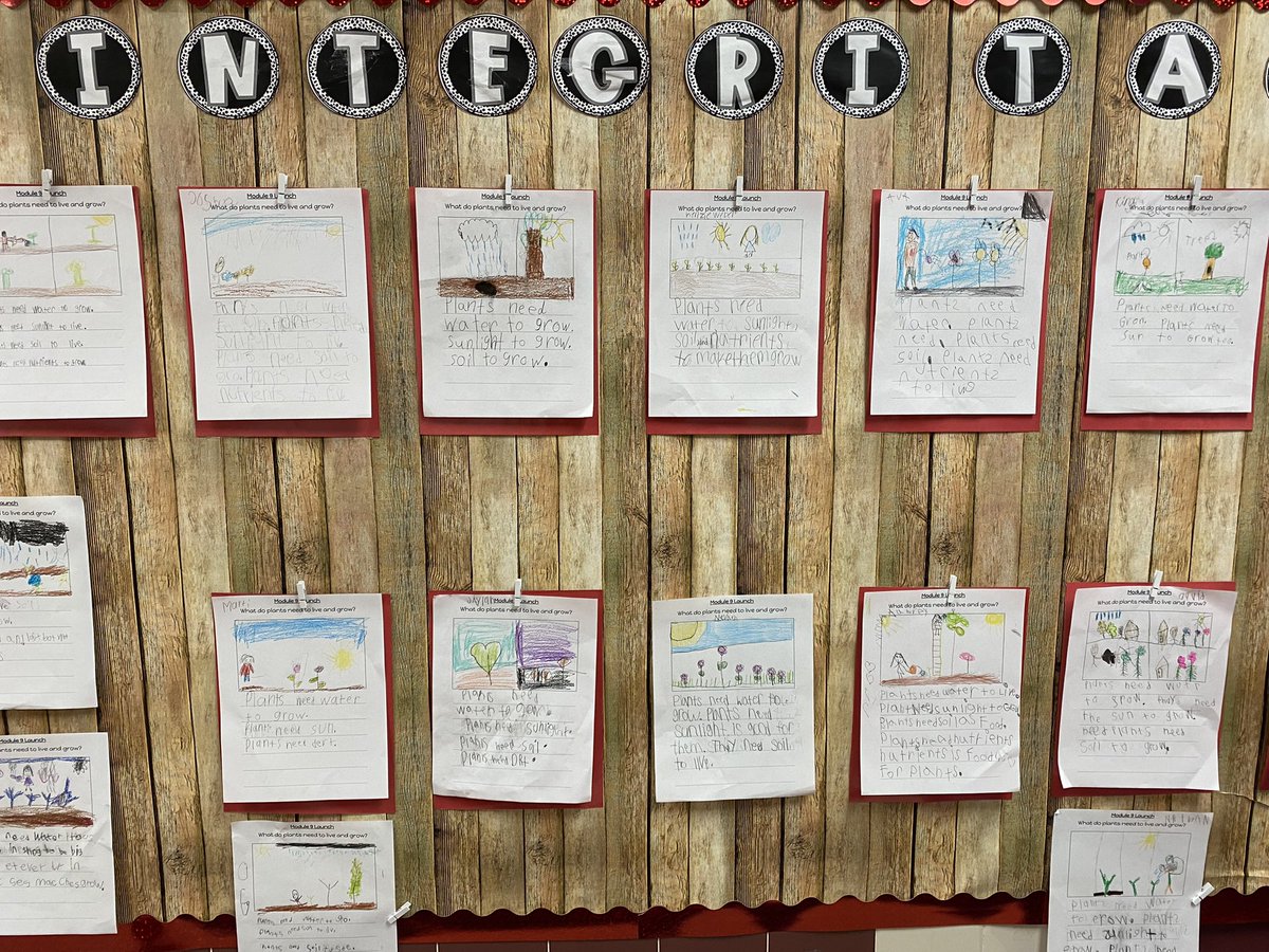 MsReyno68714725's tweet photo. Today we launched Module 9 in reading! My goal for Texas Reading Academies currently is incorporating writing into reading. My students did an awesome job with that today! Canβt wait to see what we learn about plants this module! #mckALLin #mesquiteisd #texasreadingacademies https://t.co/MvbEjqjCks