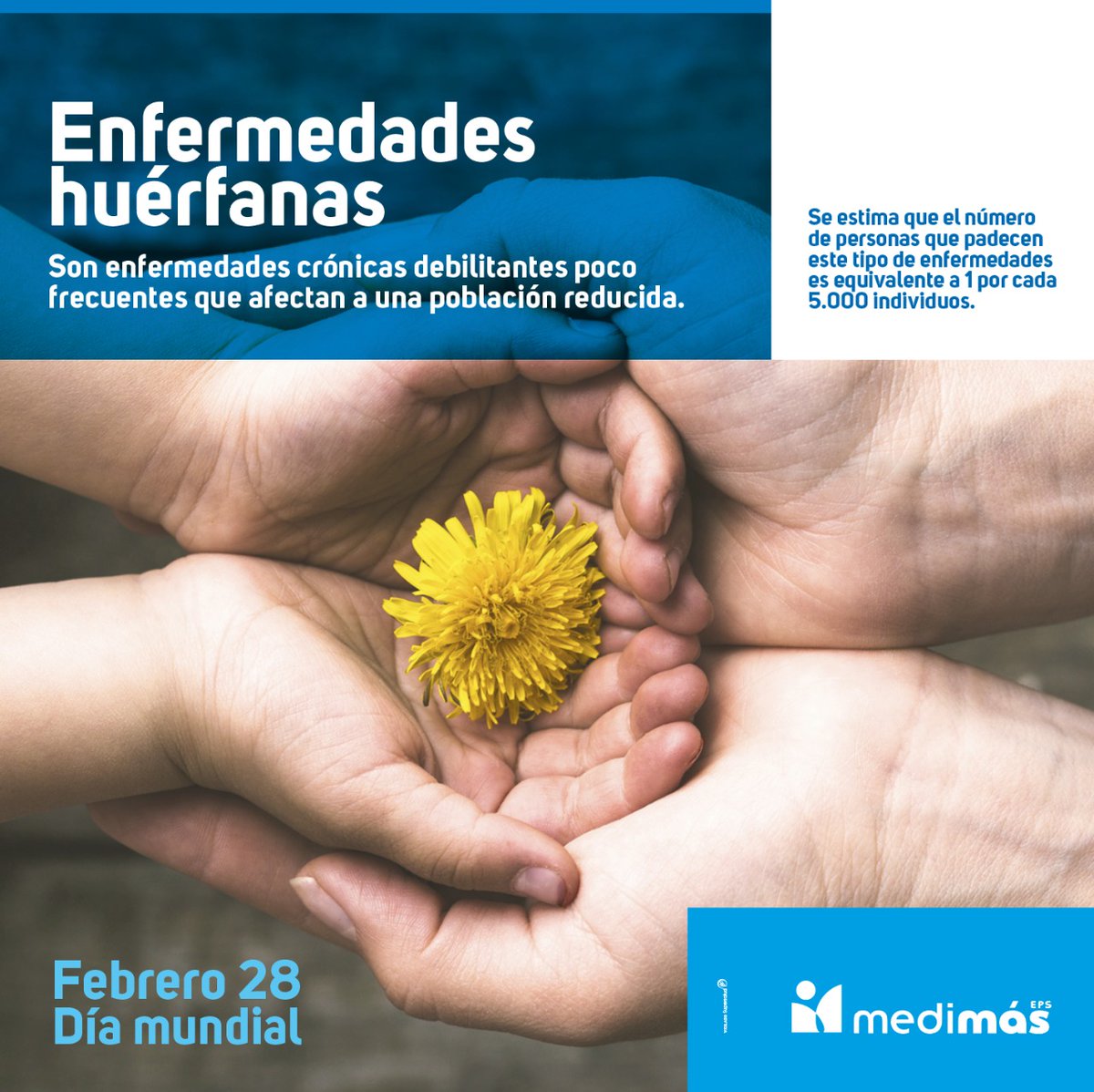 Hoy en el día mundial de las enfermedades huérfanas, queremos contarte un poco más sobre la patología que afecta a más de tres millones de personas en el mundo.
#28DeFebrero Día mundial de las enfermedades huérfanas.