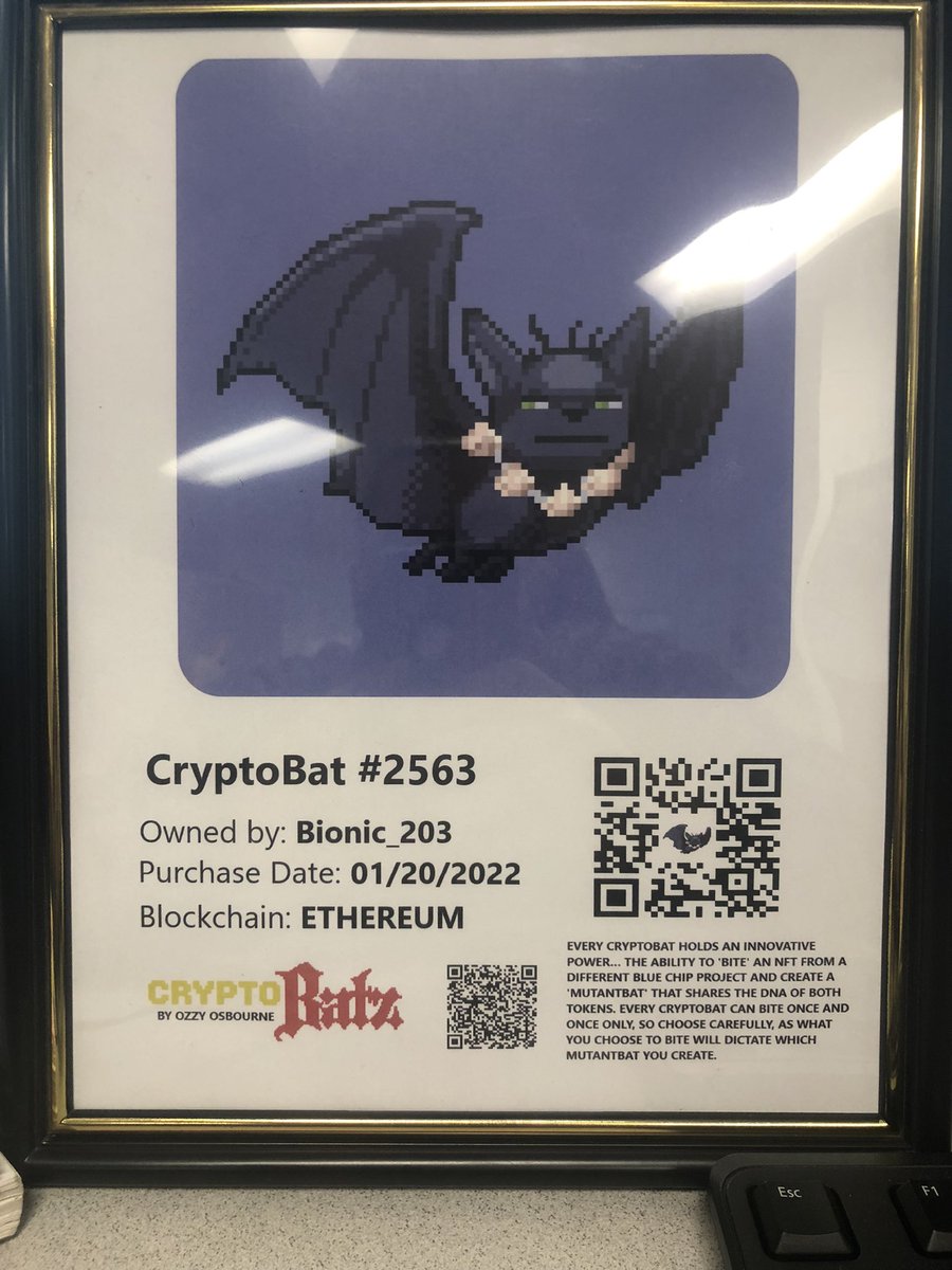 Made a custom QR code with my bat in it what y’all think <a href="/CryptoBatzNFT/">CryptoBatz</a>