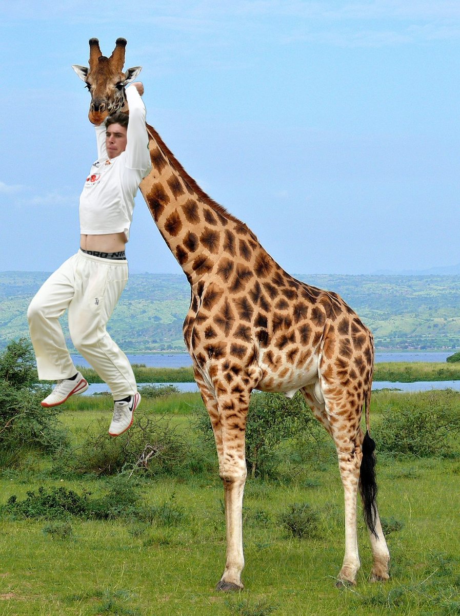 @DanLawrence288 on a giraffe
