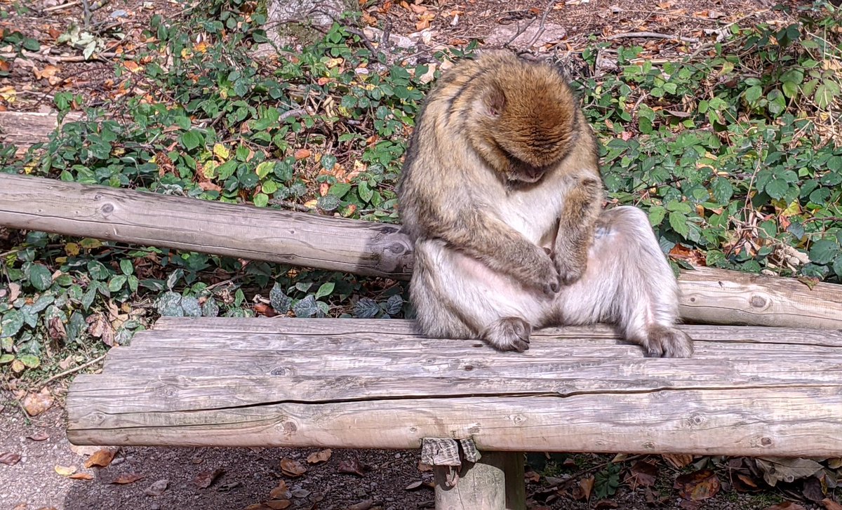 Die Suche nach der Antwort für das Leben, das Universum und dem ganzen Rest.