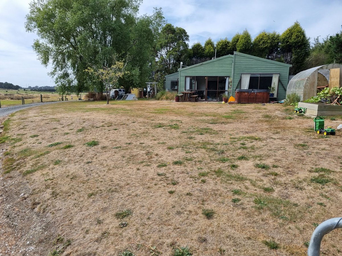 AWARUA is in a drought! 

Our lawn is dead!! We need rain desperately.