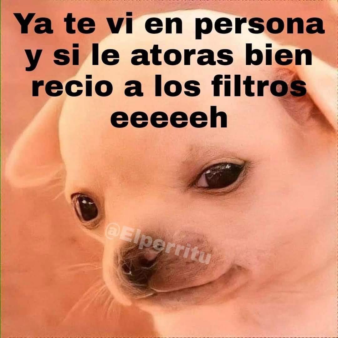 alice_freckles's tweet photo. Por eso tienen tantas solicitudes y reacciones. 😅😅 #noabusen https://t.co/qF1EETVhW8