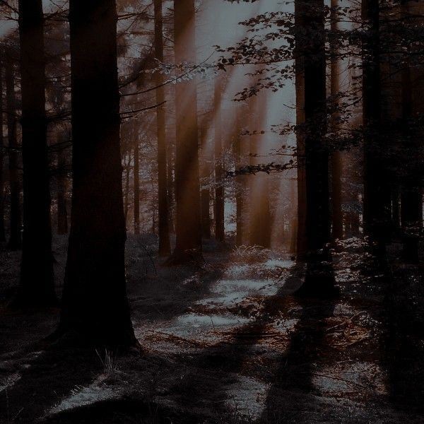 wbhybrids's tweet photo. . . ⇢ [Team Wolf] ˎˊ˗ ꒰ 🐺 ꒱
︶︶︶︶︶︶︶︶︶︶︶︶
╰─➢ Los primeros 4 Rt entran al Clan. ❁ཻུ۪⸙ https://t.co/gGgaSsHV0q