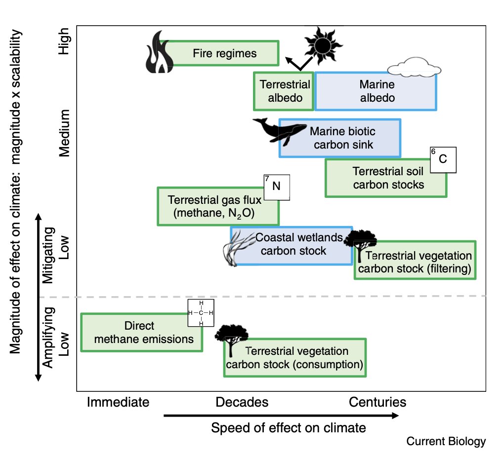 Yadvinder Malhi tweet media
