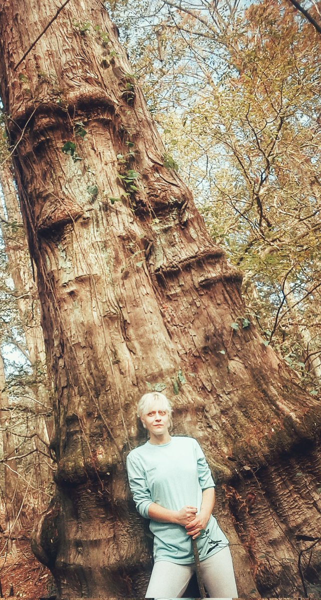 BigTravel's tweet photo. KIRBY NATURE TRAIL 
#BTNP https://t.co/Hw8oqhA9D6