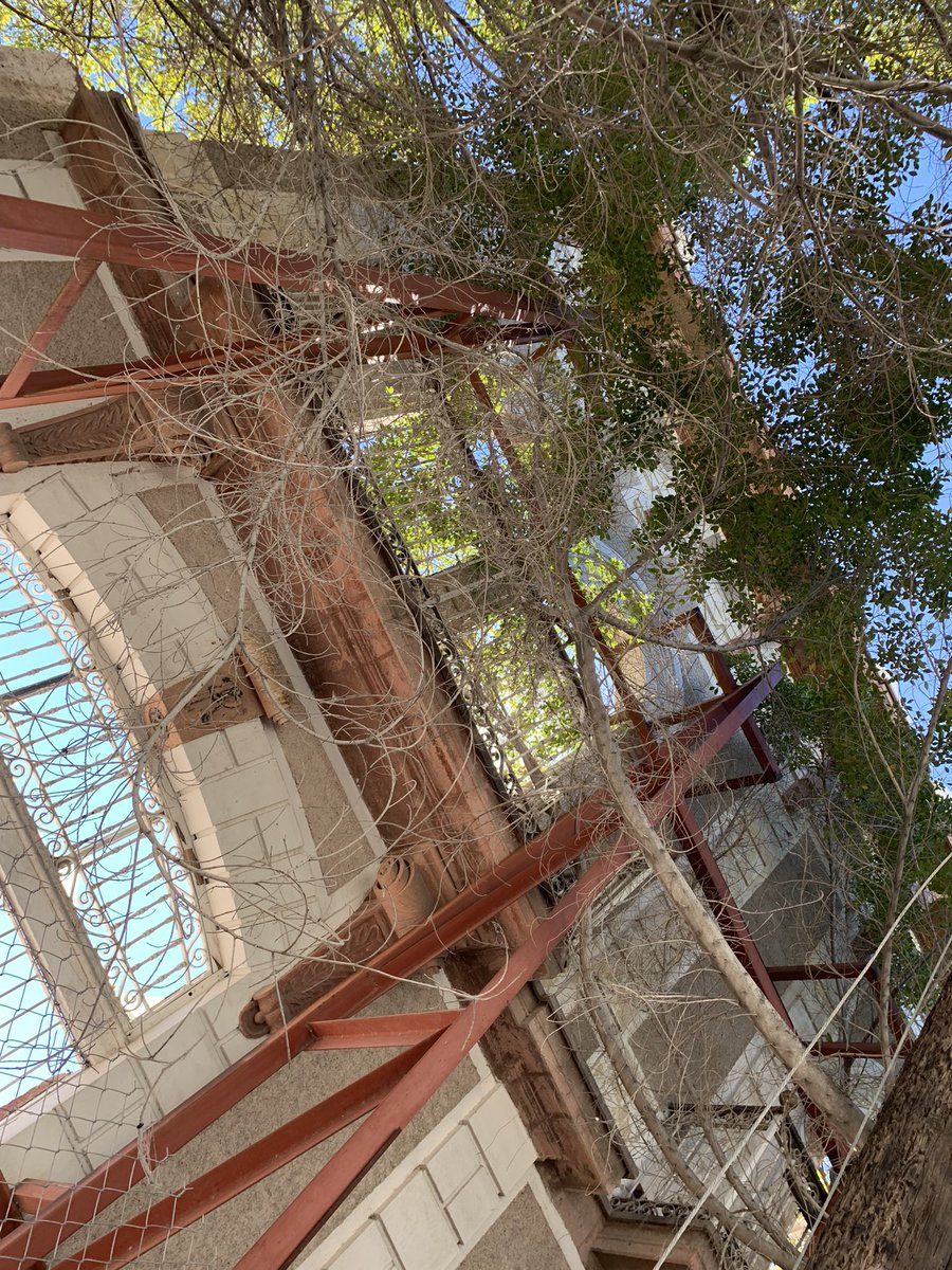 Gabriel Camacho tweet media