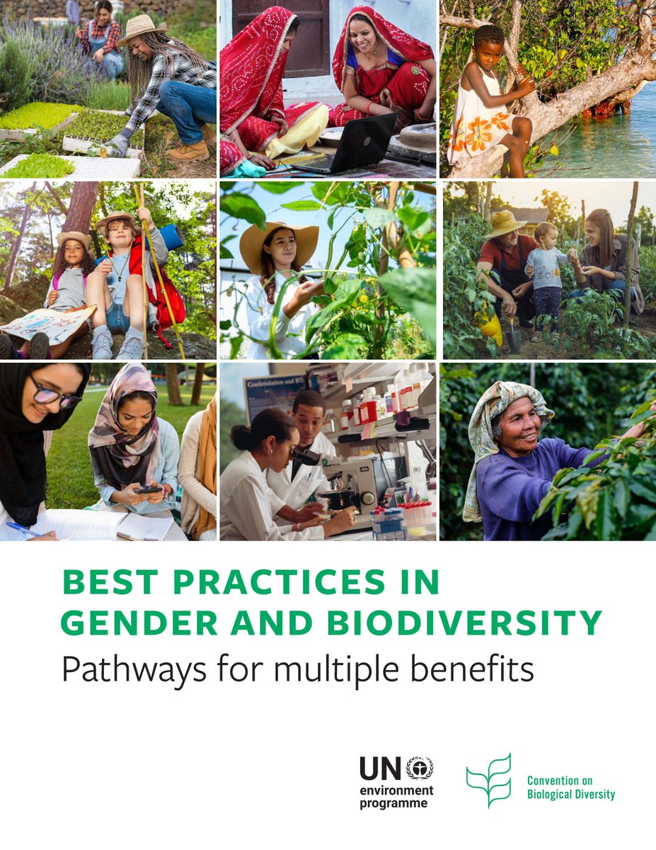 IUCN_Gender (@iucn_gender) on Twitter photo Tackling long-standing #gender inequalities and barriers is a complex process that requires attention and resourcing ♀️
This <a href="/UNBiodiversity/">UN Biodiversity</a>'s publication shows us how such targeted action is also critical to achieve sustainable results for #biodiversity: bit.ly/3t199fk Tackling long-standing #gender inequalities and barriers is a complex process that requires attention and resourcing ♀️
This <a href="/UNBiodiversity/">UN Biodiversity</a>'s publication shows us how such targeted action is also critical to achieve sustainable results for #biodiversity: bit.ly/3t199fk