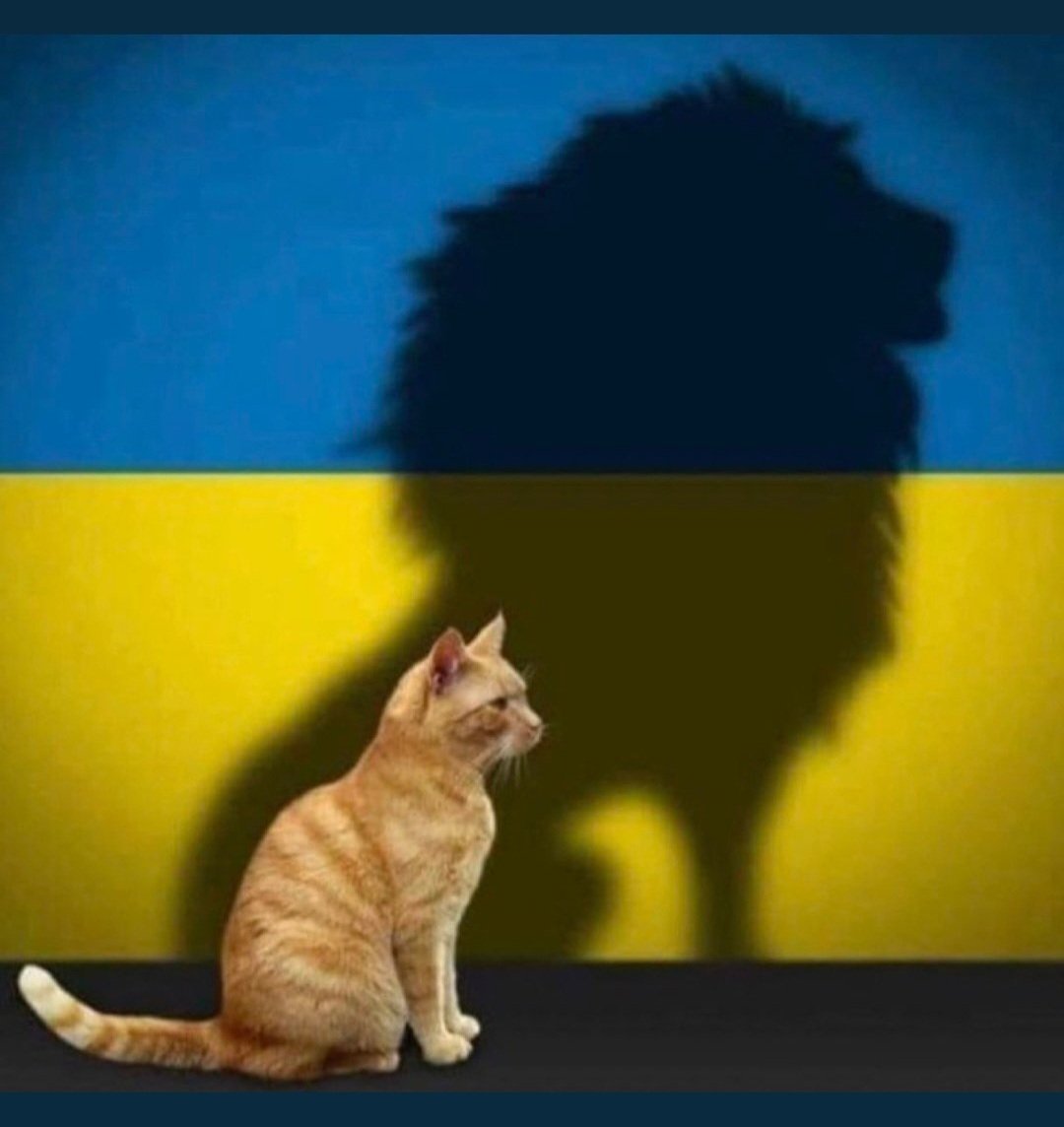 AdriAeroshk's tweet photo. La fuerza, el valor y el coraje de #Ucrania es un ejemplo de honor para muchos países, viva la libertad! Morir antes que esclavos vivir! 🇺🇦💙💛
#UcraniaLibre #ucraniaarmy #WeStandWithUkraine https://t.co/Nm2pBj2d7C