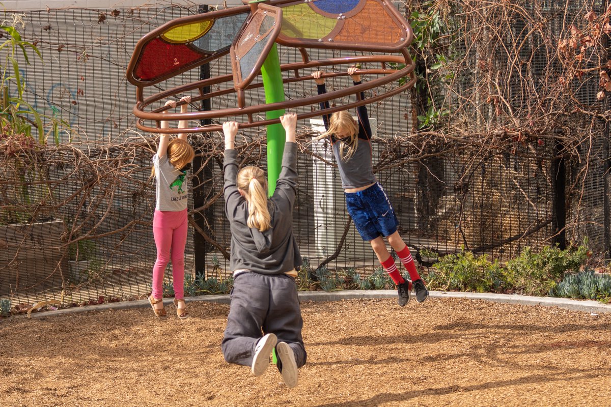 uncommon_UCLA tweet media