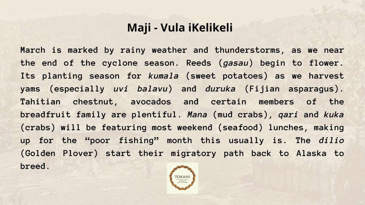 'Ara na yadra! Here are some highlights of the iTaukei traditional calendar. Vula iKelikeli aligns with the Gregorian calendar month of March.

This post was informed by bit.ly/3HPmYDO &amp;  
@fiji_heritage. 🙏 #ourhistory #ourheritage #tokani