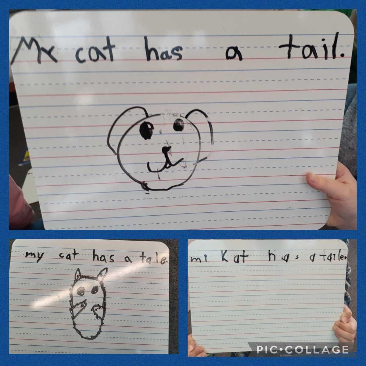 Our new routine ensures we practice encoding immediately after we practice decoding with each new skill. It's interesting to see the different ways that Ss try to achieve the desired sound. Today we focused on long a, as represented by ai.