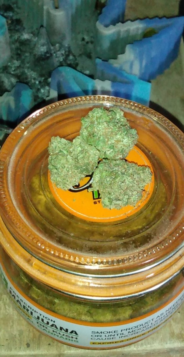 LadyBlockade's tweet photo. Enjoying some Wedding Cake and relaxing with scary stories on YouTube. The vibe today is pretty mellow.
#cannabisflowers #CannabisLegal #stonergoth #stonercouple https://t.co/dL5h00bwax