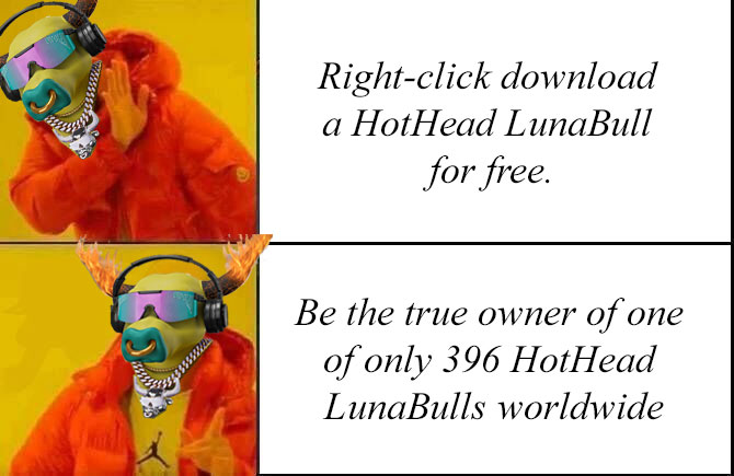 Hot Heads - Luna Bulls tweet media