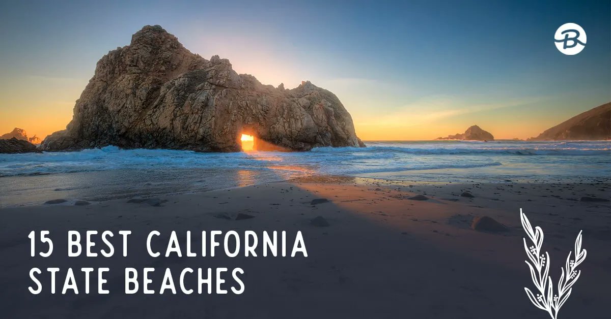 BeachfixMedia's tweet photo. With about 1,000 miles of gorgeous coastline, California has many incredible beaches. Many of these are state beaches, which are precisely maintained and usually offer amenities. Check them out here!

https://t.co/5Om6hFl0SN https://t.co/iRVeToKUuF