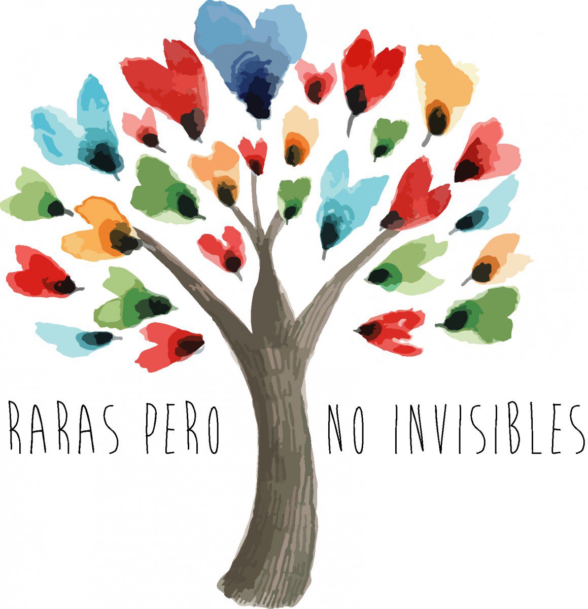 gsanchezantolin's tweet photo. En el día de las #enfermedadesraras destacar el papel de #MedicoDeFamilia, #Genetistas #analistas #Pediatras, #enfermeras y muchos otros en el diagnóstico y seguimiento de pacientes. Gracias a las familias y enfermos por su lucha. Empujemos planes para desarrollarlos #PierCyL https://t.co/hlxb4BKs3S