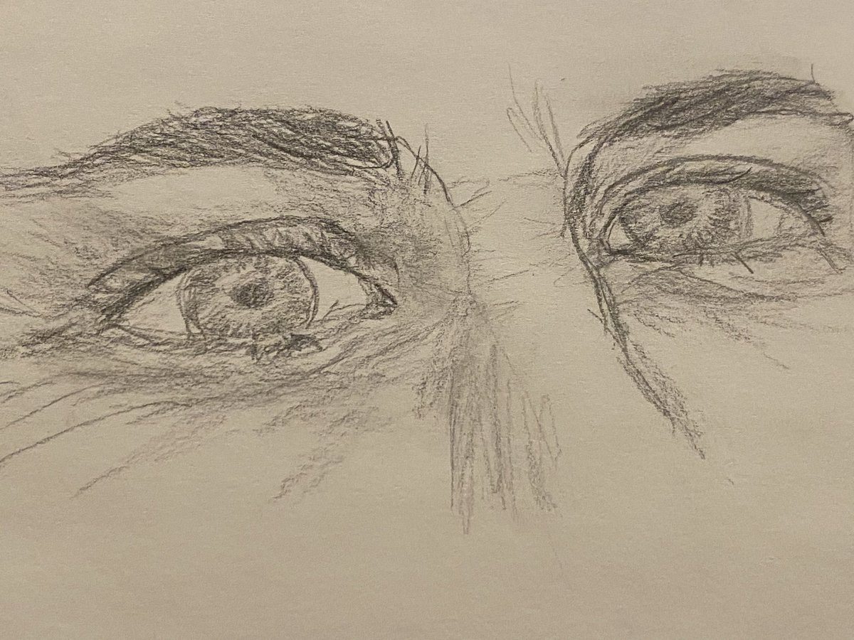 NPMaureen's tweet photo. @CatDocMD I started to learn to draw and drew my eyes and it wasn’t bad! https://t.co/ZSYCvJZmfi