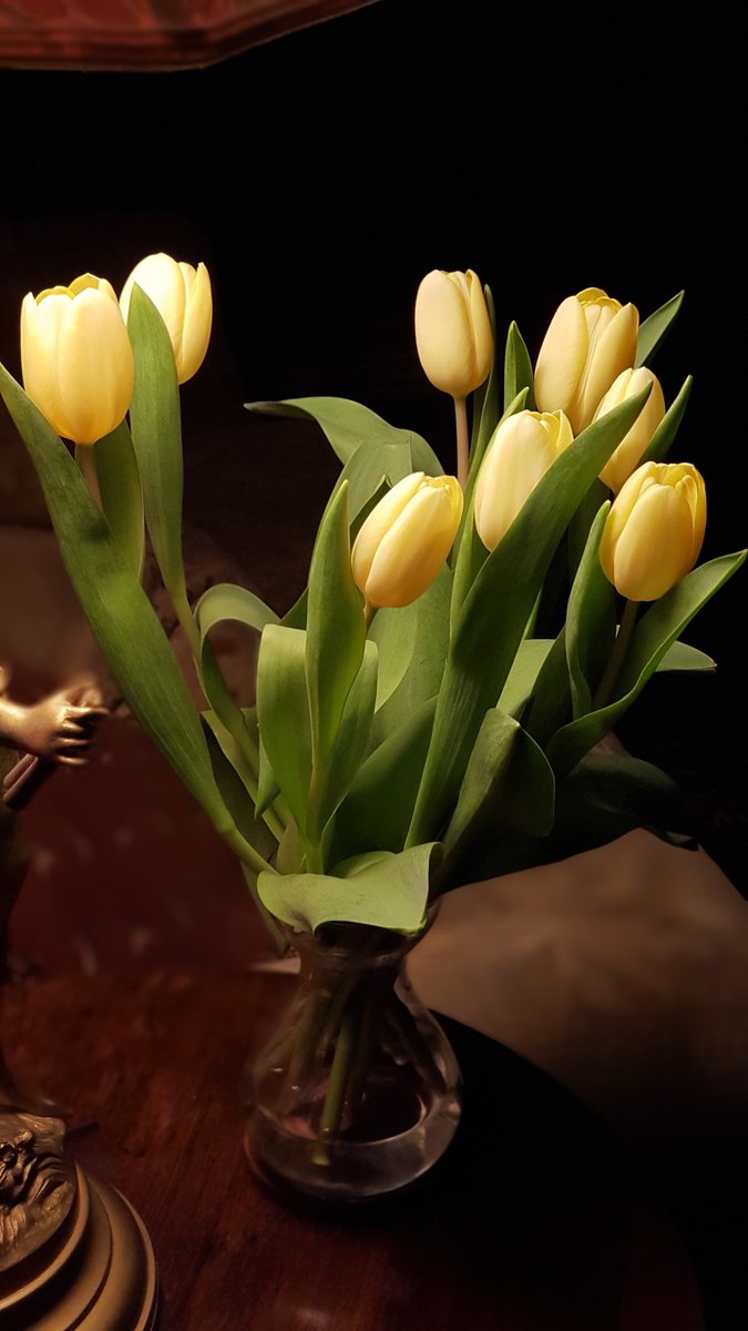 HayesHants's tweet image. Lucky to be enjoying flowers and warmth at home tonight ... thinking of #Ukrainians suffering in bomb shelters at this time! 😢
#UkraineConflict #UkraineCrisis #UkraineRussiaConflict #UkraineRussiaCrisis #UkraineRussia #Russia #Russian #Kyiv