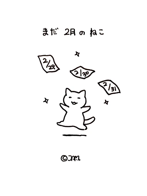 2月です🐱 