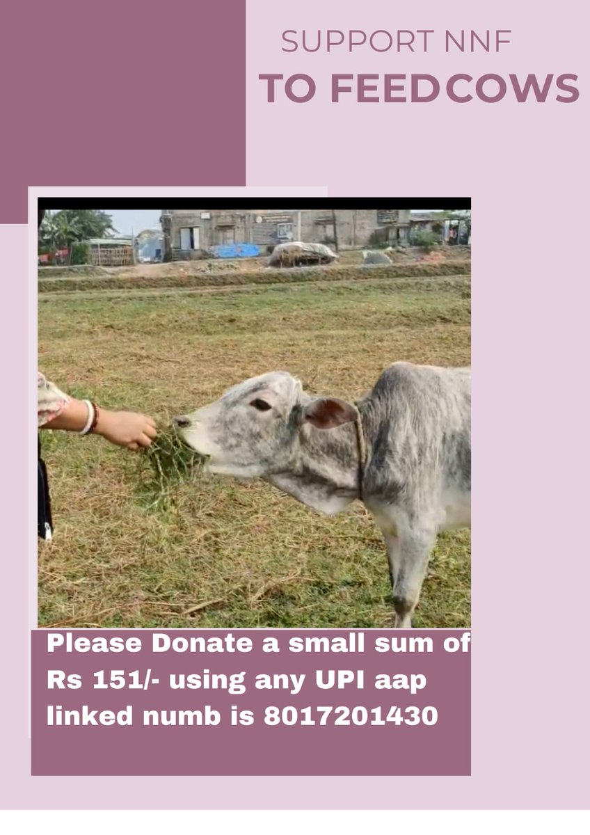 Munmun0690's tweet photo. Requesting support to #feedcows pls contribute with open arms for this very noble cause to #NarayanNarayaniFoundation https://t.co/EXMyfLD6jM