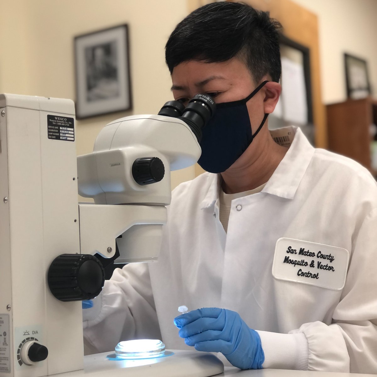 Our very own Angie Nakano will be giving a short talk about a mysterious case of bites at <a href="/calacademy/">California Academy of Sciences</a> Women in Science <a href="/CASNightLife/">NightLife ✨</a> this week!