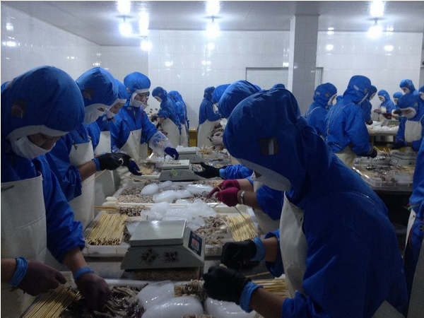 KoryoTours's tweet photo. Thou shalt have a fishy on a little dishy at the #Rason Fish Factory in #NorthKorea - check out the #KoryoTours guide to this place https://t.co/FKjTDoeY2r #DPRK #VisitNorthKorea https://t.co/04g8IeLZNG