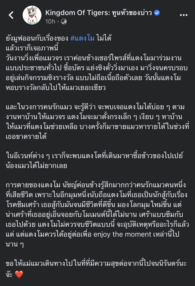 PsychoTotheMoon's tweet photo. ทำไมพึ่งรู้ว่าเค้าเป็นคนจิตใจดีมากขนาดนนี้ ไปวิ่งเพื่อแมวช่วยแมวจรหาบ้าน

และหลายเรื่อง เช่นรายได้10% ที่หาได้บริจาคทุกปี ปีที่แล้ว4 แสน (ขนาดช่วงนึงไม่มีงานเท่าไหร่ยังบริจาค) ช่วยเหลือส่งเด็กเรียนหนังสือจบไปหลายคนแล้ว รีวิวของให้ฟรี บริจาคเลือดบ่อยมาก ตั้งใจบริจาคร่างกาย

#แตงโม https://t.co/jqDHGDHM6R