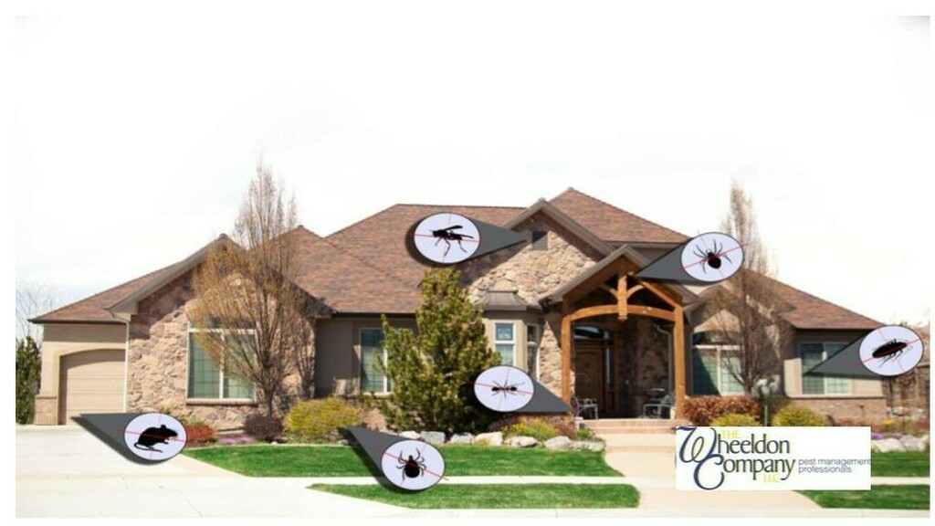 The Wheeldon Company Pest Management tweet media