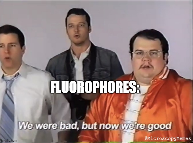 MicroscopyMemes's tweet image. Every paper on modifying fluorophores be like