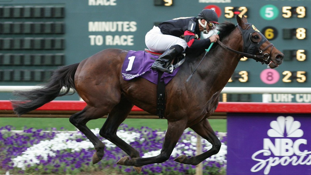 That one time we hosted <a href="/BreedersCup/">Breeders' Cup</a>......