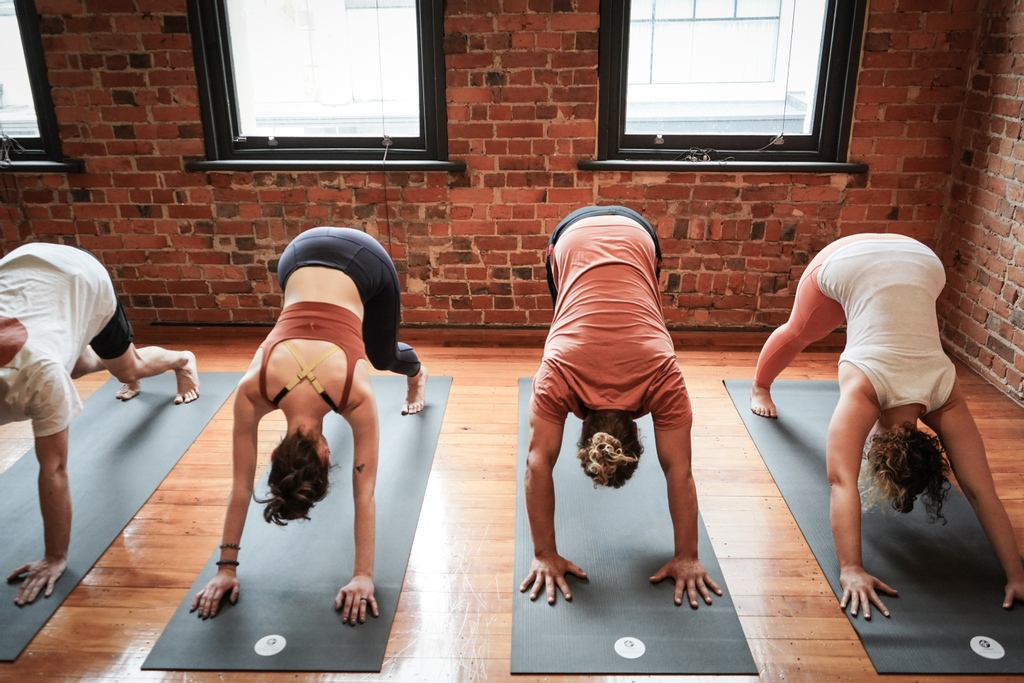 nuyogadunedin's tweet image. Our beginners course is full. 

Our beginners course with Jude Mahood starts this weekend, and we are so excited! 

This course sold out in less than a week, so we are already planning our next one..
#dunedinyoga #nuyoga #beginnersyogacourse